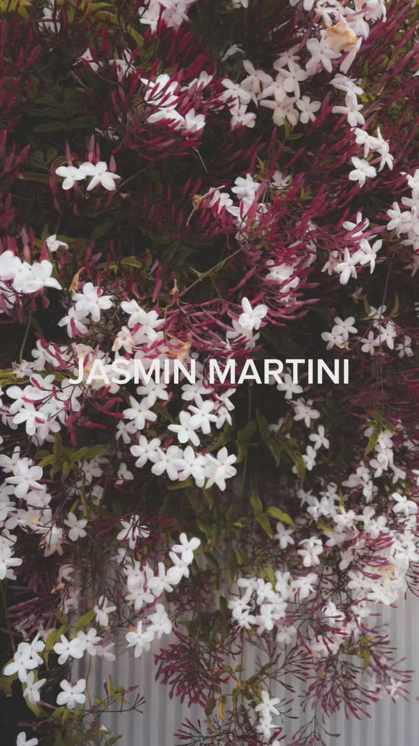 Jasmin Martini 