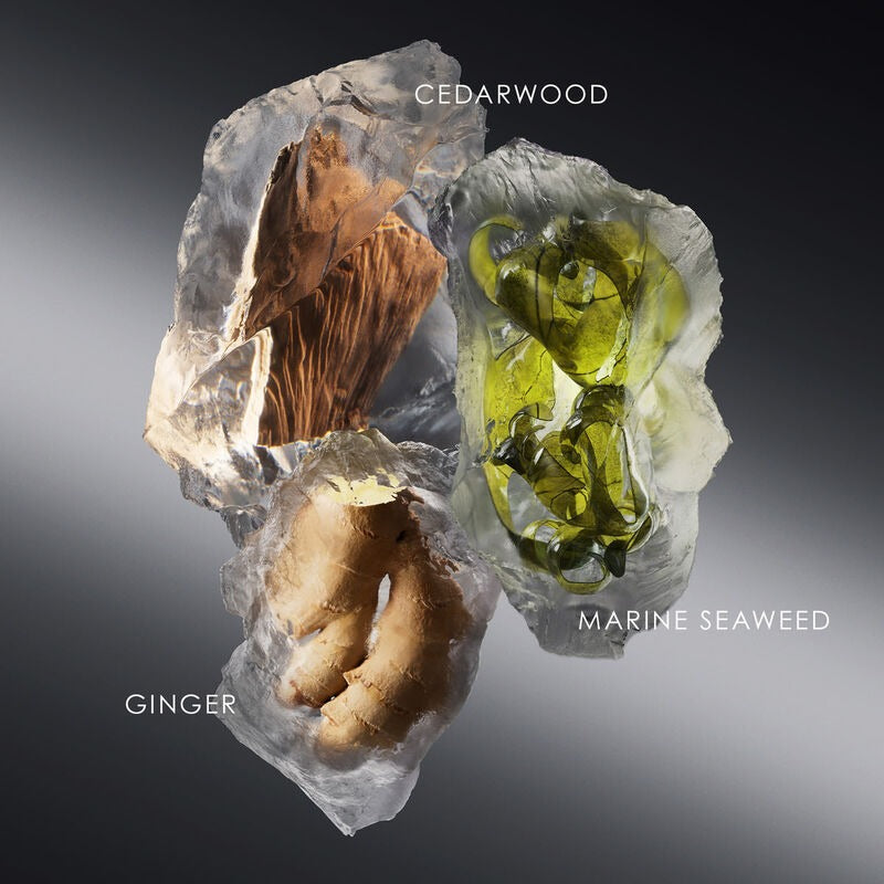 Le Sel d'Issey Eau de Toilette